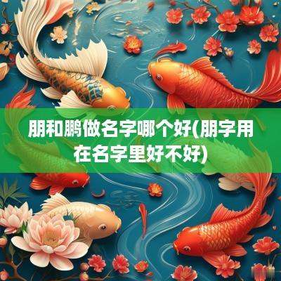 朋和鹏做名字哪个好(朋字用在名字里好不好)
