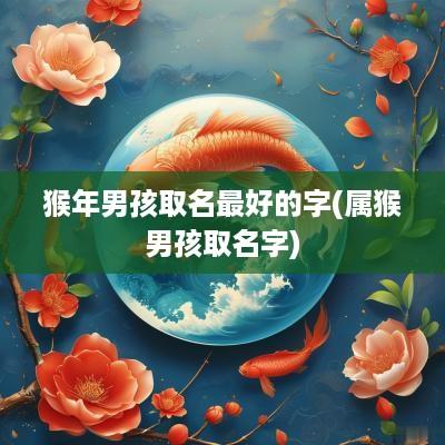 猴年男孩取名最好的字(属猴男孩取名字)
