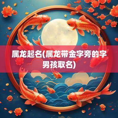 属龙起名(属龙带金字旁的字男孩取名)