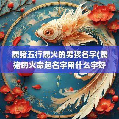 属猪五行属火的男孩名字(属猪的火命起名字用什么字好)