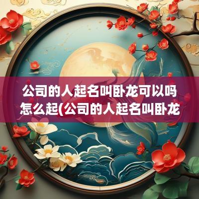 公司的人起名叫卧龙可以吗怎么起(公司的人起名叫卧龙可以吗女生)