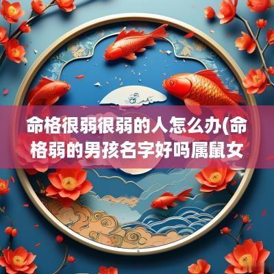 命格很弱很弱的人怎么办(命格弱的男孩名字好吗属鼠女孩)
