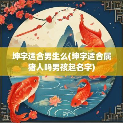 坤字适合男生么(坤字适合属猪人吗男孩起名字)