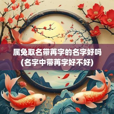 属兔取名带苒字的名字好吗(名字中带苒字好不好)