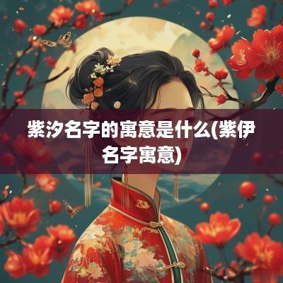 紫汐名字的寓意是什么(紫伊名字寓意)