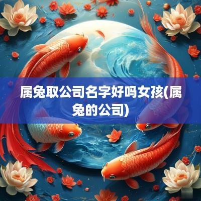 属兔取公司名字好吗女孩(属兔的公司)