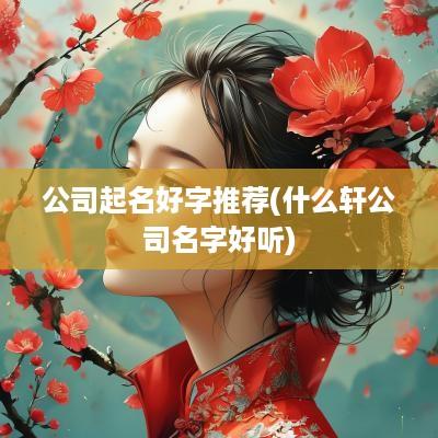 公司起名好字推荐(什么轩公司名字好听)