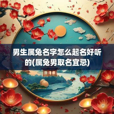 男生属兔名字怎么起名好听的(属兔男取名宜忌)