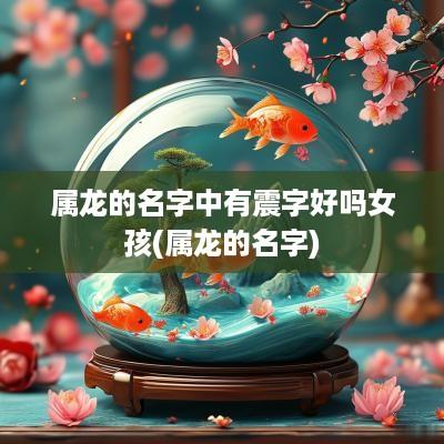 属龙的名字中有震字好吗女孩(属龙的名字)