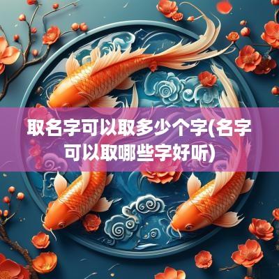 取名字可以取多少个字(名字可以取哪些字好听)