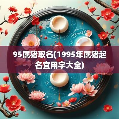 95属猪取名(1995年属猪起名宜用字大全)