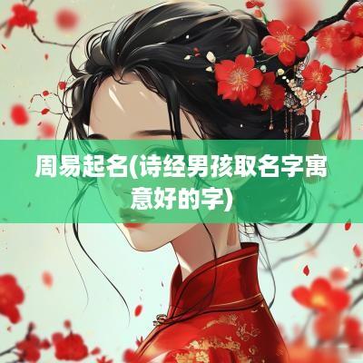周易起名(诗经男孩取名字寓意好的字)