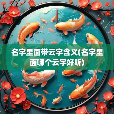 名字里面带云字含义(名字里面哪个云字好听)
