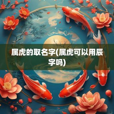 属虎的取名字(属虎可以用辰字吗)