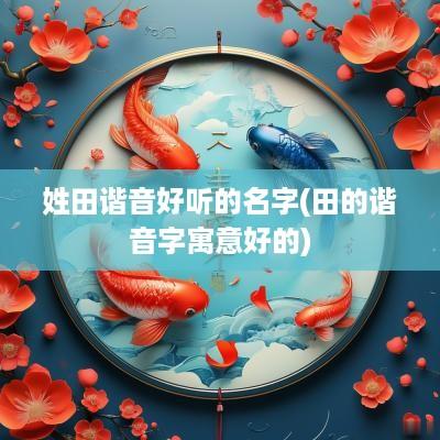 姓田谐音好听的名字(田的谐音字寓意好的)