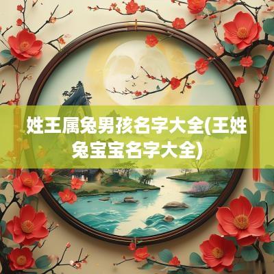 姓王属兔男孩名字大全(王姓兔宝宝名字大全)