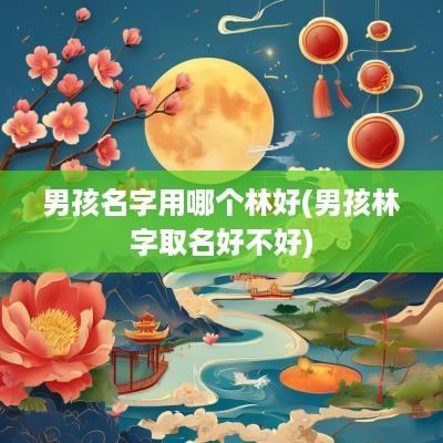 男孩名字用哪个林好(男孩林字取名好不好)
