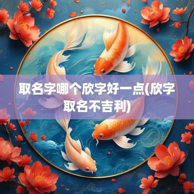 取名字哪个欣字好一点(欣字取名不吉利)
