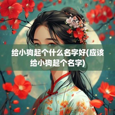 给小狗起个什么名字好(应该给小狗起个名字)