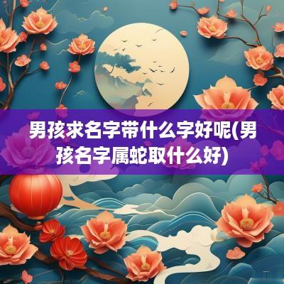 男孩求名字带什么字好呢(男孩名字属蛇取什么好)