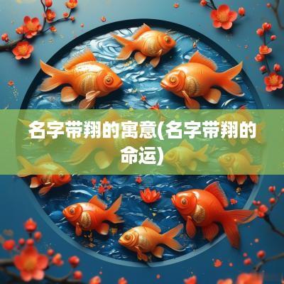 名字带翔的寓意(名字带翔的命运)