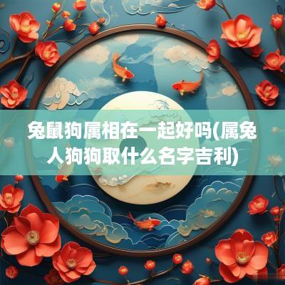 兔鼠狗属相在一起好吗(属兔人狗狗取什么名字吉利)