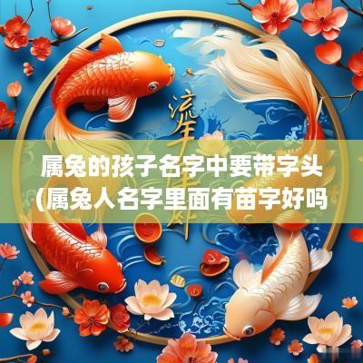 属兔的孩子名字中要带字头(属兔人名字里面有苗字好吗男孩)
