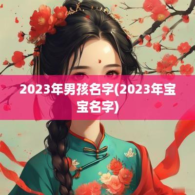 2025年男孩名字(2025年宝宝名字)