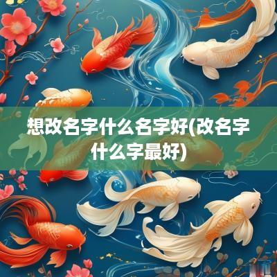 想改名字什么名字好(改名字什么字最好)