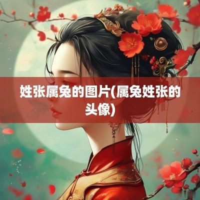 姓张属兔的图片(属兔姓张的头像)