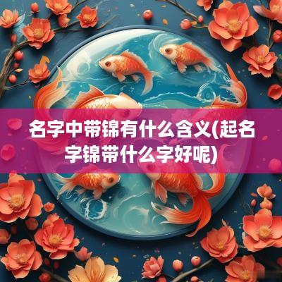 名字中带锦有什么含义(起名字锦带什么字好呢)