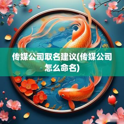 传媒公司取名建议(传媒公司怎么命名)