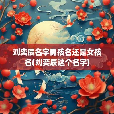 刘奕辰名字男孩名还是女孩名(刘奕辰这个名字)