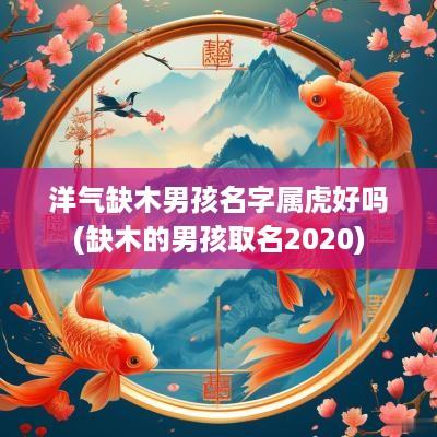 洋气缺木男孩名字属虎好吗(缺木的男孩取名2025)