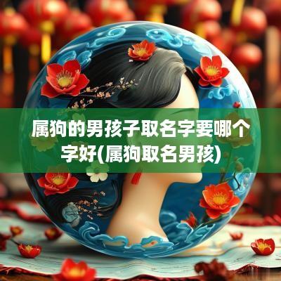 属狗的男孩子取名字要哪个字好(属狗取名男孩)