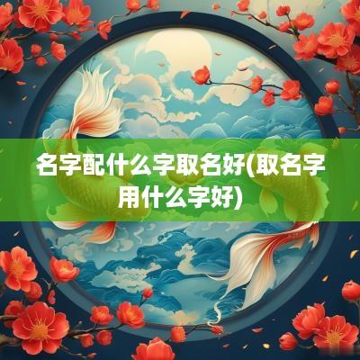 名字配什么字取名好(取名字用什么字好)