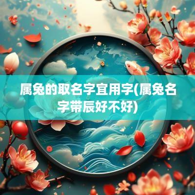 属兔的取名字宜用字(属兔名字带辰好不好)