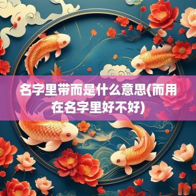 名字里带而是什么意思(而用在名字里好不好)