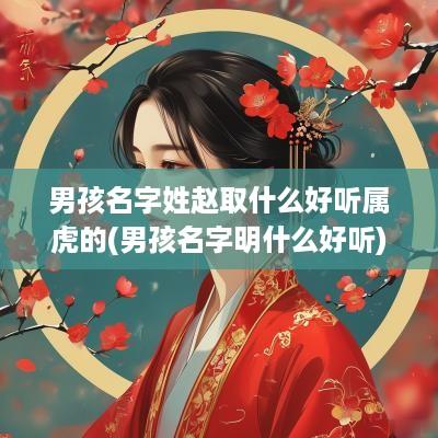 男孩名字姓赵取什么好听属虎的(男孩名字明什么好听)