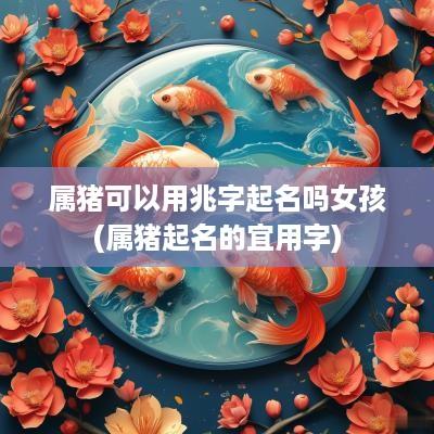 属猪可以用兆字起名吗女孩(属猪起名的宜用字)