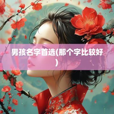 男孩名字首选(那个字比较好)