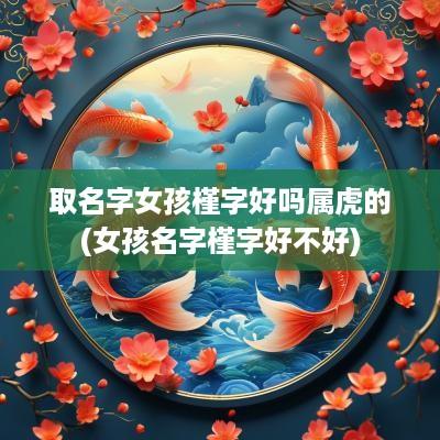 取名字女孩槿字好吗属虎的(女孩名字槿字好不好)