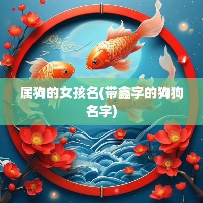 属狗的女孩名(带鑫字的狗狗名字)