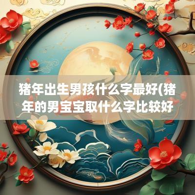 猪年出生男孩什么字最好(猪年的男宝宝取什么字比较好)