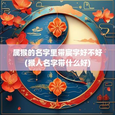 属猴的名字里带宸字好不好(猴人名字带什么好)