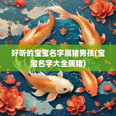 好听的宝宝名字属猪男孩(宝宝名字大全属猪)
