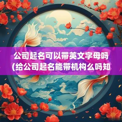 公司起名可以带英文字母吗(给公司起名能带机构么吗知乎)