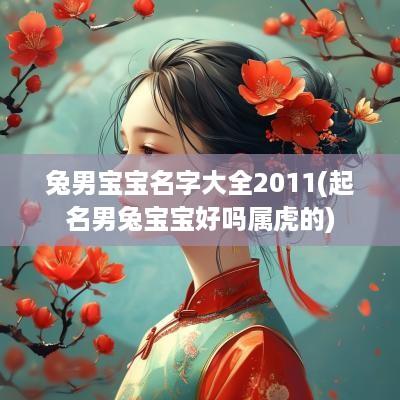 兔男宝宝名字大全2011(起名男兔宝宝好吗属虎的)