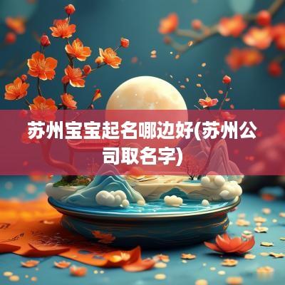 苏州宝宝起名哪边好(苏州公司取名字)