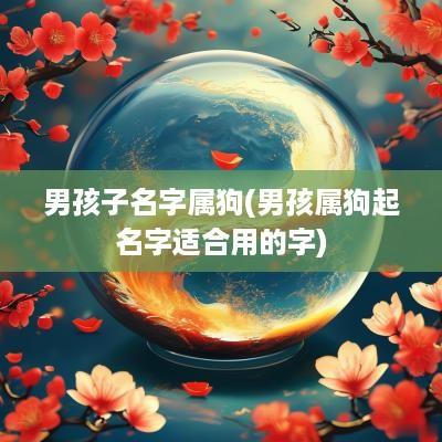 男孩子名字属狗(男孩属狗起名字适合用的字)